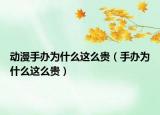 动漫手办为什么这么贵（手办为什么这么贵）