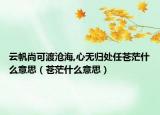 云帆尚可渡沧海,心无归处任苍茫什么意思（苍茫什么意思）