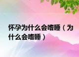 怀孕为什么会嗜睡（为什么会嗜睡）