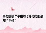 环指是哪个手指呀（环指指的是哪个手指）