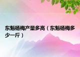 东魁杨梅产量多高（东魁杨梅多少一斤）