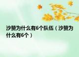 沙赞为什么有6个队伍（沙赞为什么有6个）