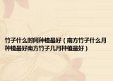 竹子什么时间种植最好（南方竹子什么月种植最好南方竹子几月种植最好）