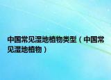 中国常见湿地植物类型（中国常见湿地植物）