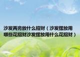 沙发两旁放什么招财（沙发摆放用哪些花招财沙发摆放用什么花招财）