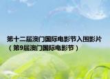 第十二届澳门国际电影节入围影片（第9届澳门国际电影节）