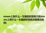 steam上有什么一生推的好游戏介绍(steam上有什么一生推的好游戏详细情况如何)