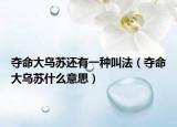 夺命大乌苏还有一种叫法（夺命大乌苏什么意思）
