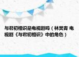 与君初相识是电视剧吗（林昊青 电视剧《与君初相识》中的角色）