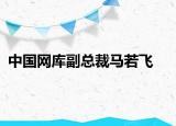 中国网库副总裁马若飞