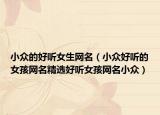 小众的好听女生网名（小众好听的女孩网名精选好听女孩网名小众）