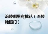 涪陵哪里有桃花（涪陵艳照门）