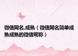 微信网名,成熟（微信网名简单成熟成熟的微信昵称）
