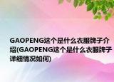 GAOPENG这个是什么衣服牌子介绍(GAOPENG这个是什么衣服牌子详细情况如何)