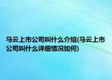 马云上市公司叫什么介绍(马云上市公司叫什么详细情况如何)
