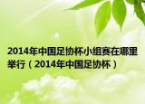 2014年中国足协杯小组赛在哪里举行（2014年中国足协杯）