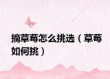 摘草莓怎么挑选（草莓如何挑）