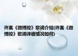 许嵩《微博控》歌词介绍(许嵩《微博控》歌词详细情况如何)