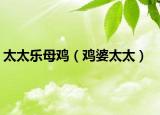 太太乐母鸡（鸡婆太太）