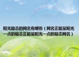阳光励志的网名有哪些（网名正能量阳光一点的励志正能量阳光一点的励志网名）