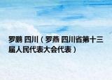 罗鹏 四川（罗燕 四川省第十三届人民代表大会代表）