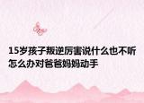 15岁孩子叛逆厉害说什么也不听怎么办对爸爸妈妈动手