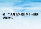 爱一个人的含义是什么（人的含义是什么）