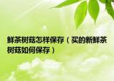 鲜茶树菇怎样保存（买的新鲜茶树菇如何保存）