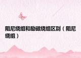 阻尼绕组和励磁绕组区别（阻尼绕组）