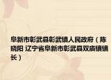 阜新市彰武县彰武镇人民政府（陈晓阳 辽宁省阜新市彰武县双庙镇镇长）