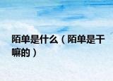 陌单是什么（陌单是干嘛的）