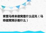 家里马蜂来做窝是什么征兆（马蜂做窝预示着什么）