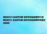 神剑情天2(宝宝修改器 能修改技能的那种介绍 神剑情天2 宝宝修改器 能修改技能的那种详细情况如何)