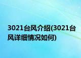 3021台风介绍(3021台风详细情况如何)