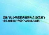 流星飞过小熊座的内容简介介绍(流星飞过小熊座的内容简介详细情况如何)