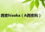 西索hisoka（A西索科）