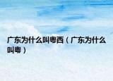 广东为什么叫粤西（广东为什么叫粤）