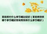 茉莉茶叶什么季节喝比较好（茉莉青饼茶哪个季节喝好茉莉青饼茶什么季节喝好）