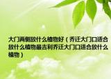 大门两侧放什么植物好（乔迁大门口适合放什么植物最吉利乔迁大门口适合放什么植物）