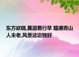 东方欲晓,莫道君行早 踏遍青山人未老,风景这边独好