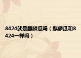 8424就是麒麟瓜吗（麒麟瓜和8424一样吗）