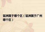 琶洲属于哪个区（琶洲属于广州哪个区）