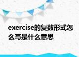 exercise的复数形式怎么写是什么意思