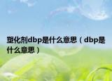 塑化剂dbp是什么意思（dbp是什么意思）