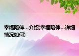 幸福陪伴…介绍(幸福陪伴…详细情况如何)