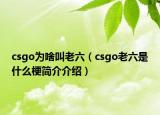 csgo为啥叫老六（csgo老六是什么梗简介介绍）