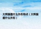 大熊猫是什么外形特点（大熊猫是什么外形）