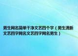 男生网名简单干净文艺四个字（男生清新文艺四字网名文艺四字网名男生）