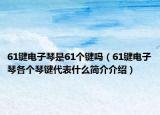 61键电子琴是61个键吗（61键电子琴各个琴键代表什么简介介绍）