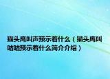 猫头鹰叫声预示着什么（猫头鹰叫咕咕预示着什么简介介绍）